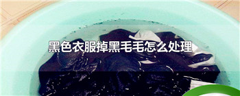 黑色衣服掉黑毛毛怎么处理