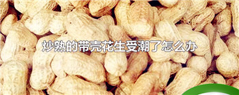 炒熟的带壳花生受潮了怎么办