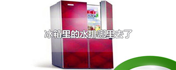 冰箱里的水排哪里去了