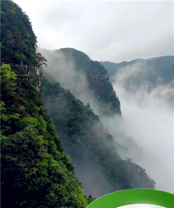 大自然奇妙的自然现象有哪些，你想象一下月亮上会有什么物生物呢?你还发现自然界中有哪些奇怪的现象？图5