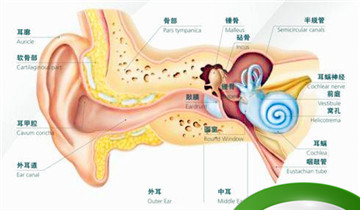 刺啦！听到了粉笔划过黑板的声音 为什么会让你抓狂？