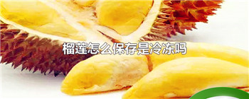 榴莲怎么保存是冷冻吗