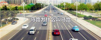 马路为什么叫马路