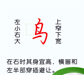 带“鸟”字旁的字都有哪些