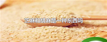 芝麻和胡麻是一种东西吗