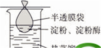 低筋面粉和土豆淀粉的区别