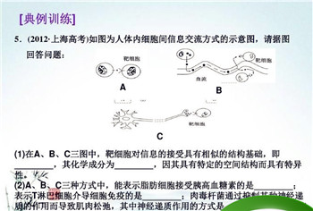 为什么核孔能进行信息交流，信息交流与什么有关