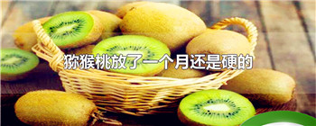 猕猴桃放了一个月还是硬的
