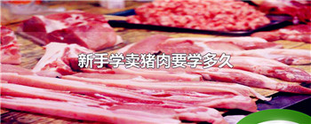 新手学卖猪肉要学多久