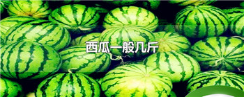 西瓜一般几斤