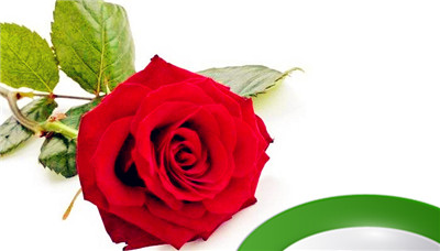 rosewater玫瑰水怎么用