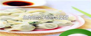 鱼肉馅饺子配什么菜好