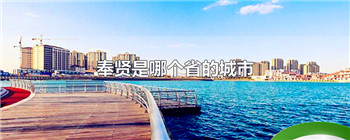 奉贤是哪个省的城市