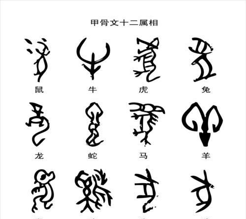 甲骨文的由来30字