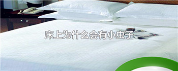 床上为什么会有小虫子