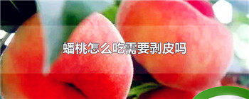 蟠桃怎么吃需要剥皮吗