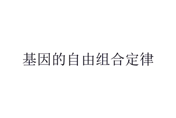 孟德尔的假说中不同基因型的配子之间随机结合，体现了自由组合定律的实质这句话的前半句是不是也错了